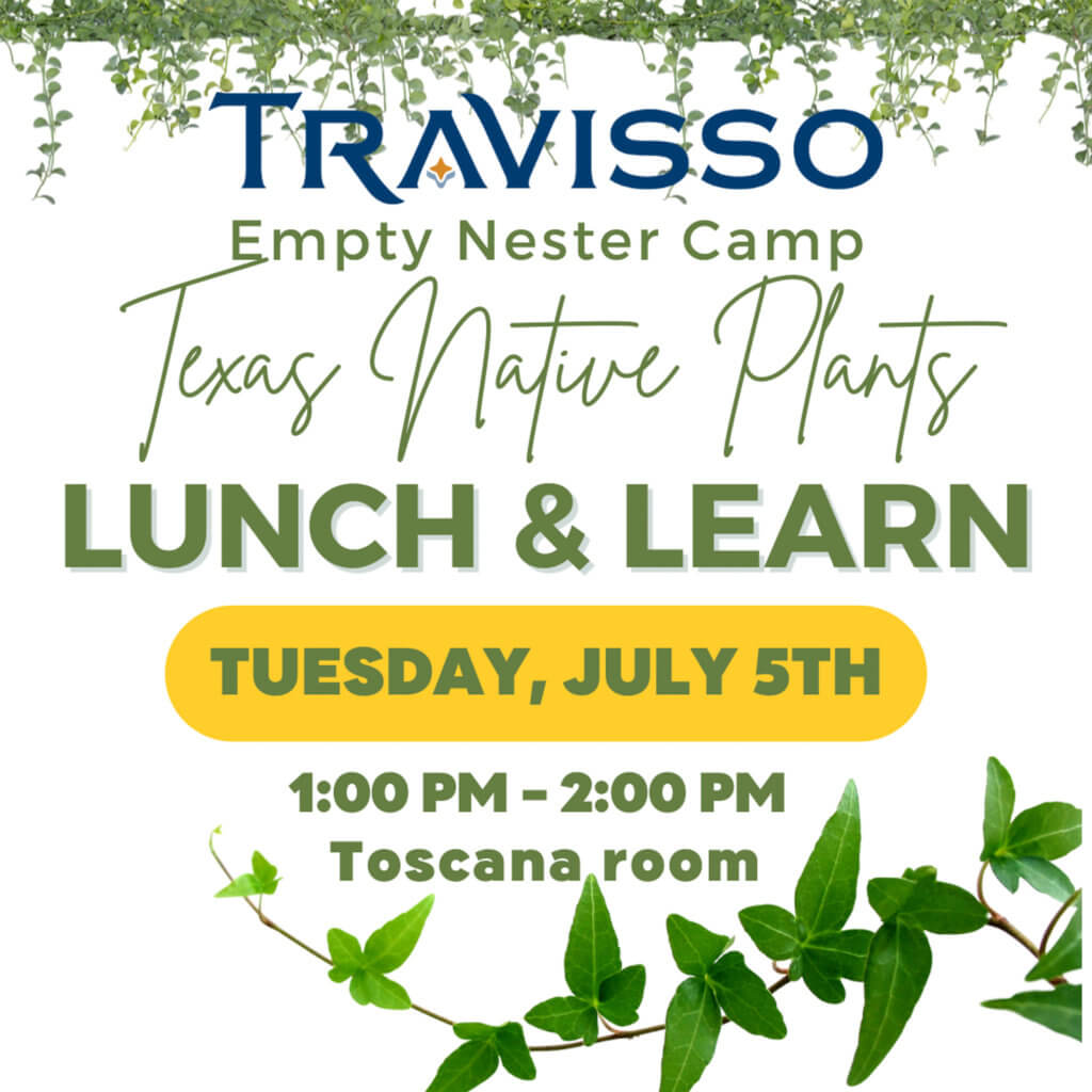 Travisso new lunch and learn event
